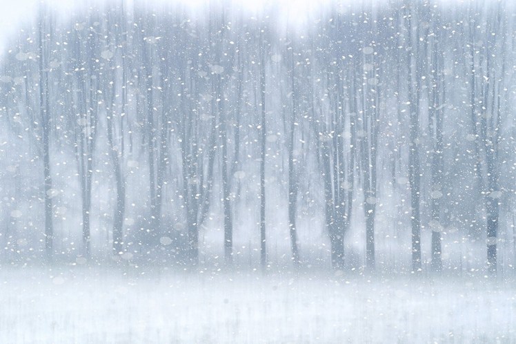 jo stephen impressionist photography dorset