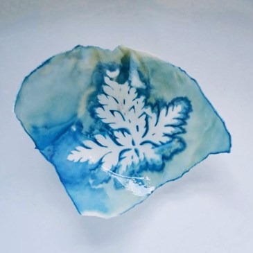 Jo stephen cyanotype egg shell