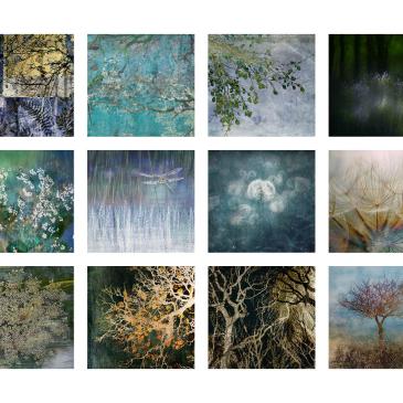 calendar jo stephen photography 2020