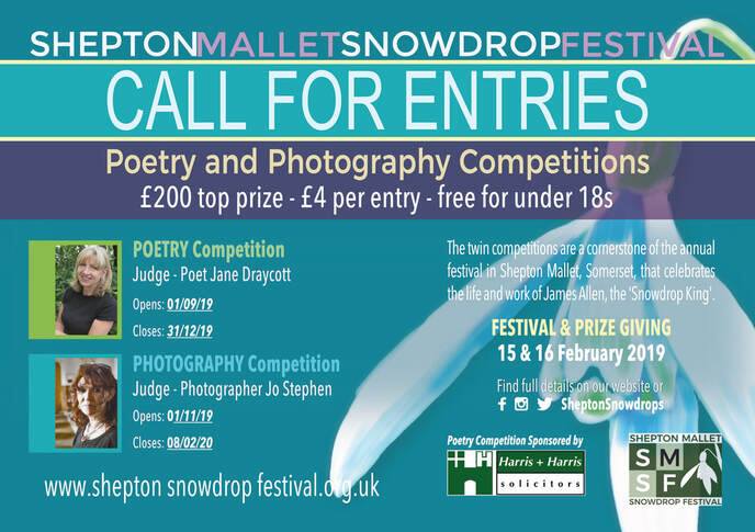 69319017_10156670862182634_7062731847465172992_n