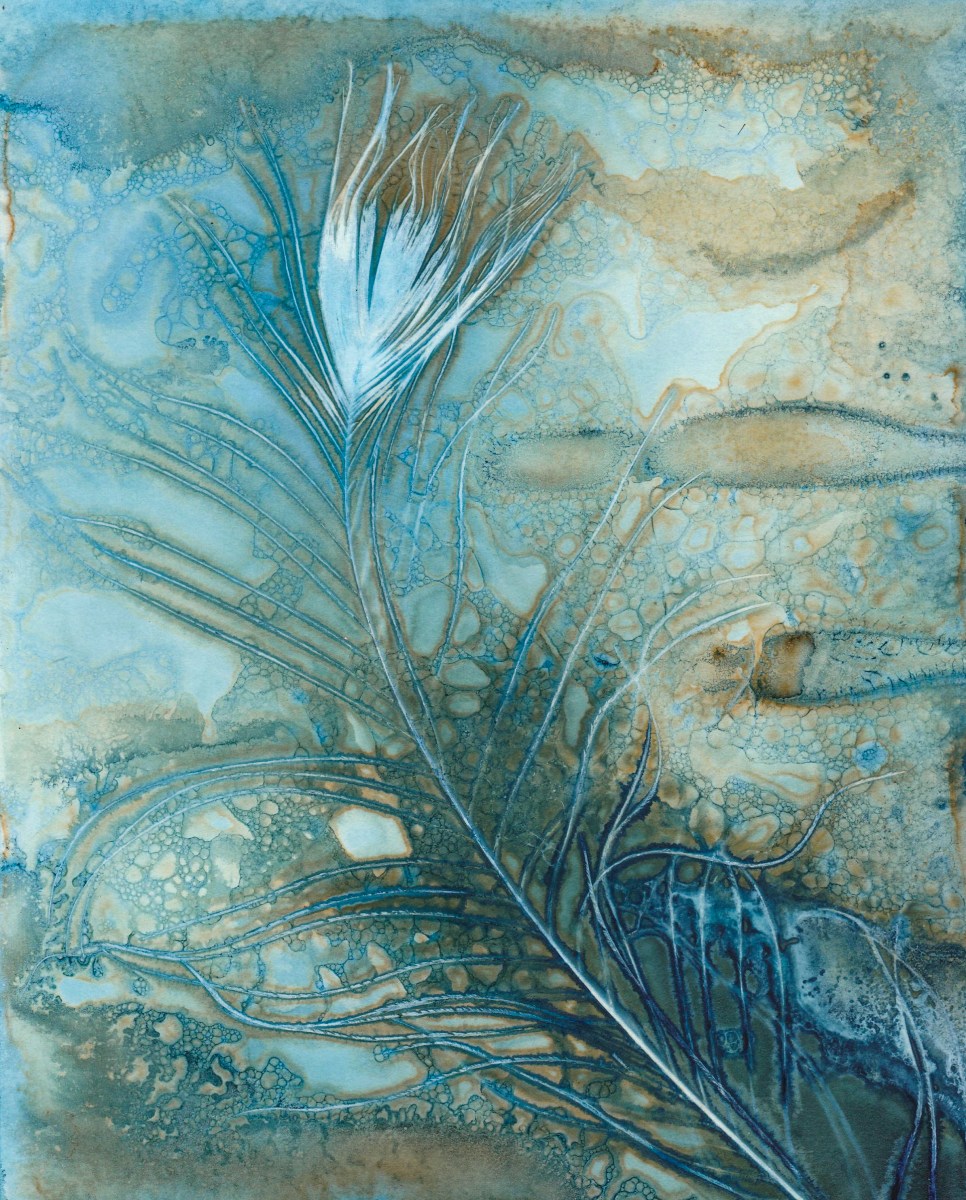 Cameraless creativity. – Jo Stephen Photography