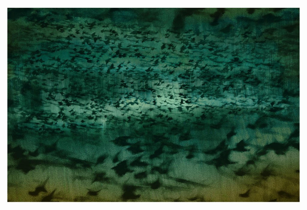 jo stephen photography