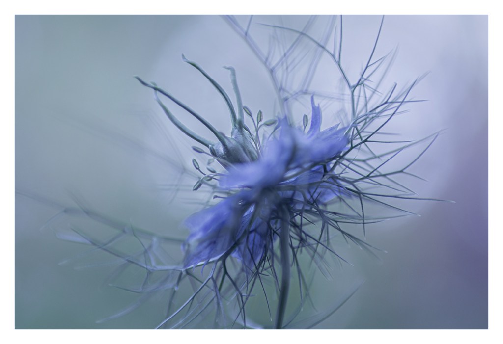 This image has an empty alt attribute; its file name is p1010045-web.jpg