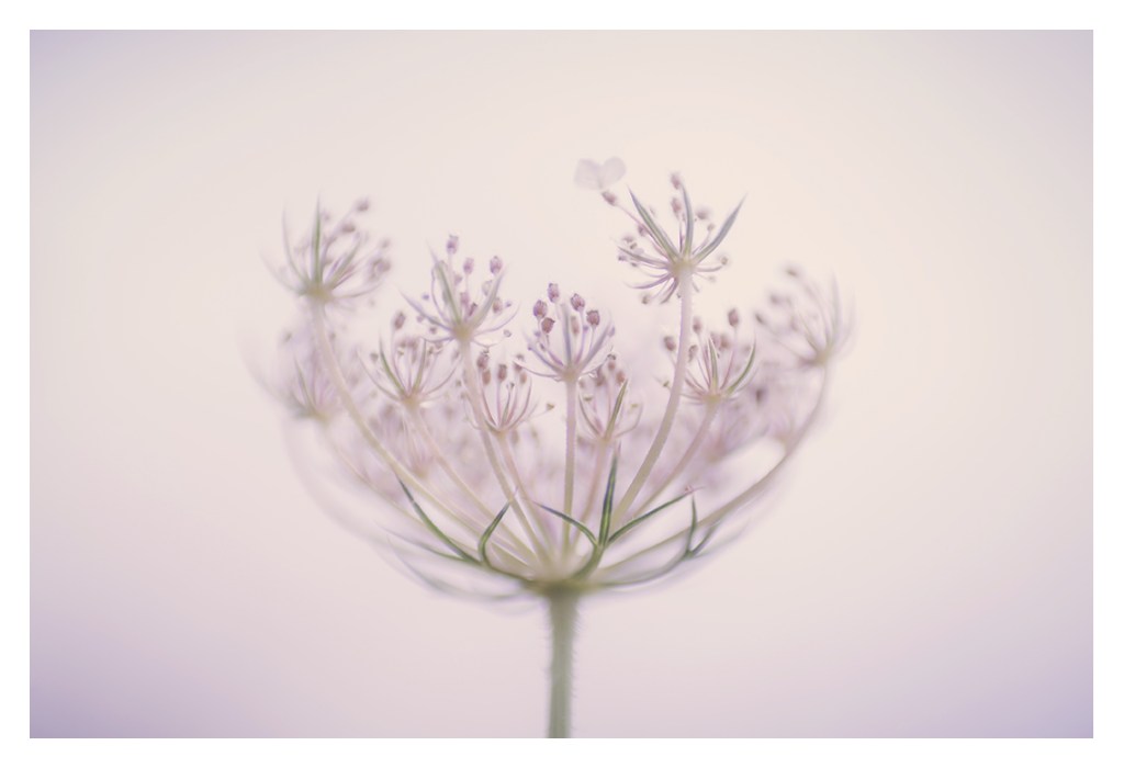 This image has an empty alt attribute; its file name is p1010147-web.jpg