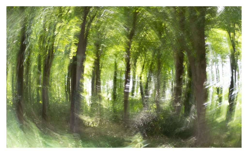 This image has an empty alt attribute; its file name is jf.jpg