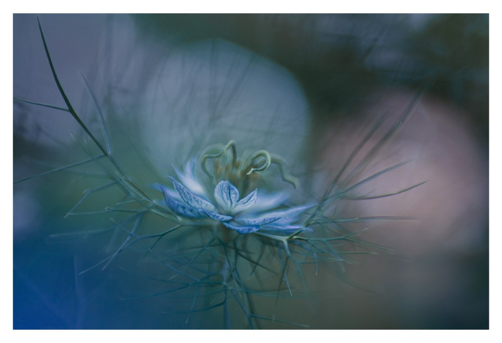 This image has an empty alt attribute; its file name is p1010014-web.jpg