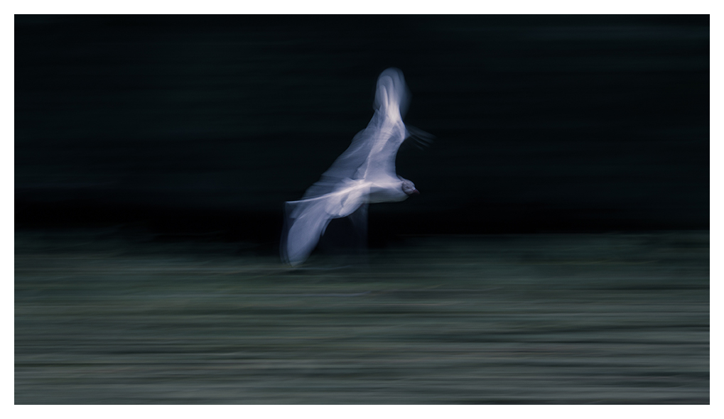 This image has an empty alt attribute; its file name is p1010056-2-web.jpg