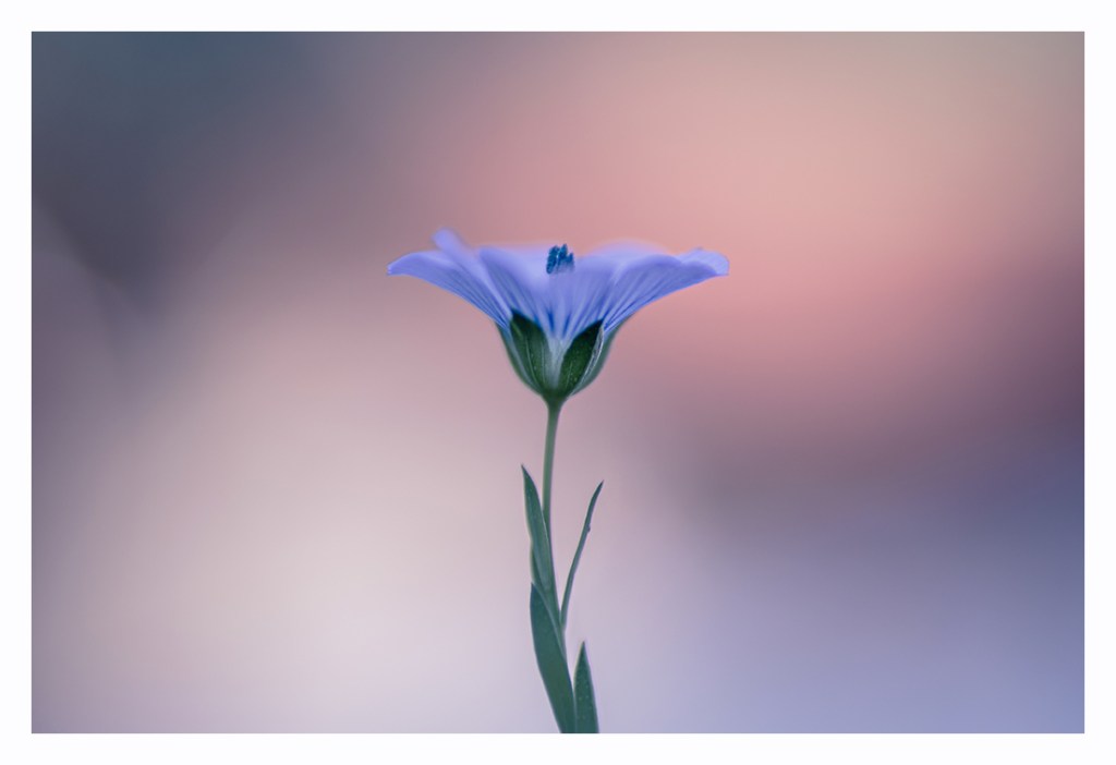 This image has an empty alt attribute; its file name is p8170573.jpg