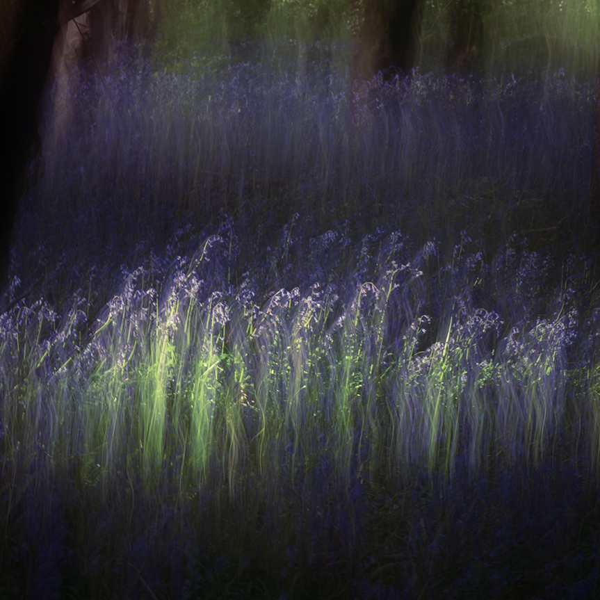 jo stephen photography