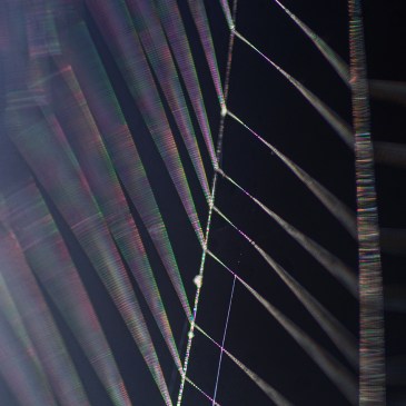 jo stephen photography