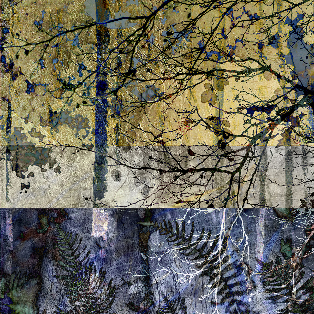 jo stephen photography