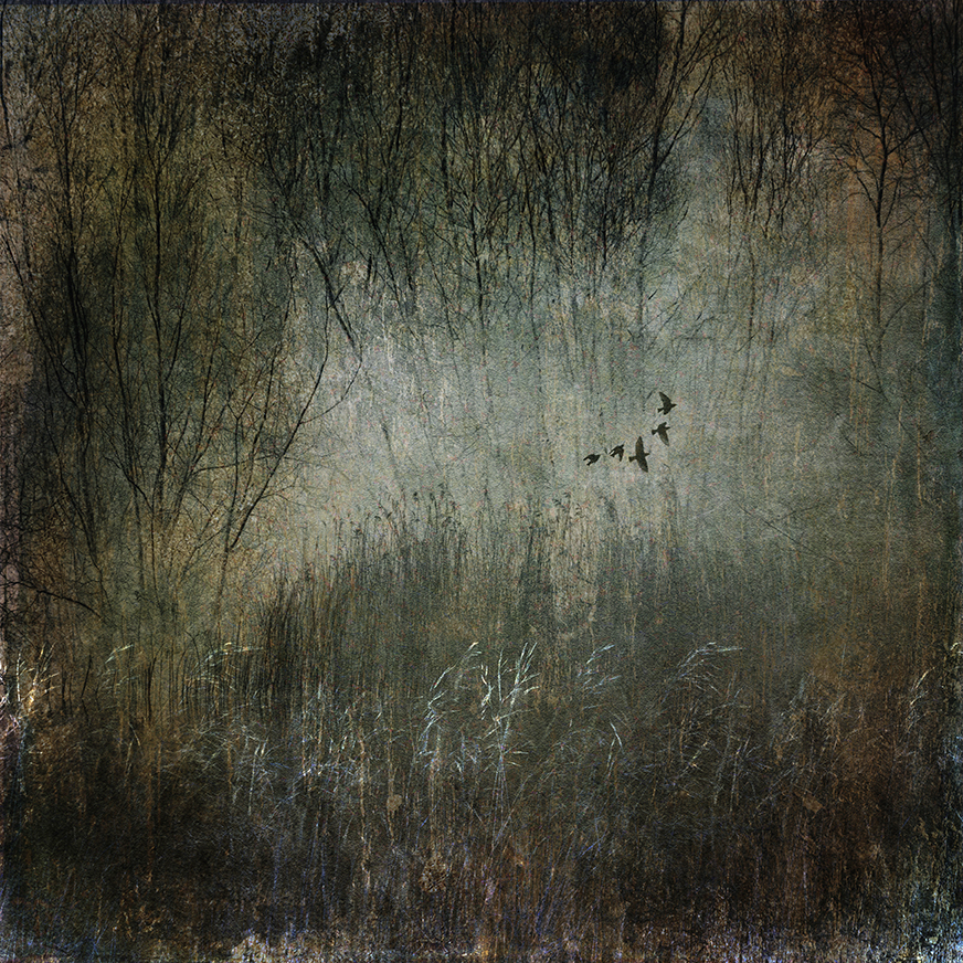 jo stephen winter landscape