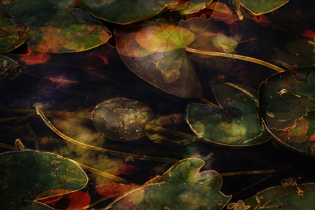 jo stephen gold photogaphy