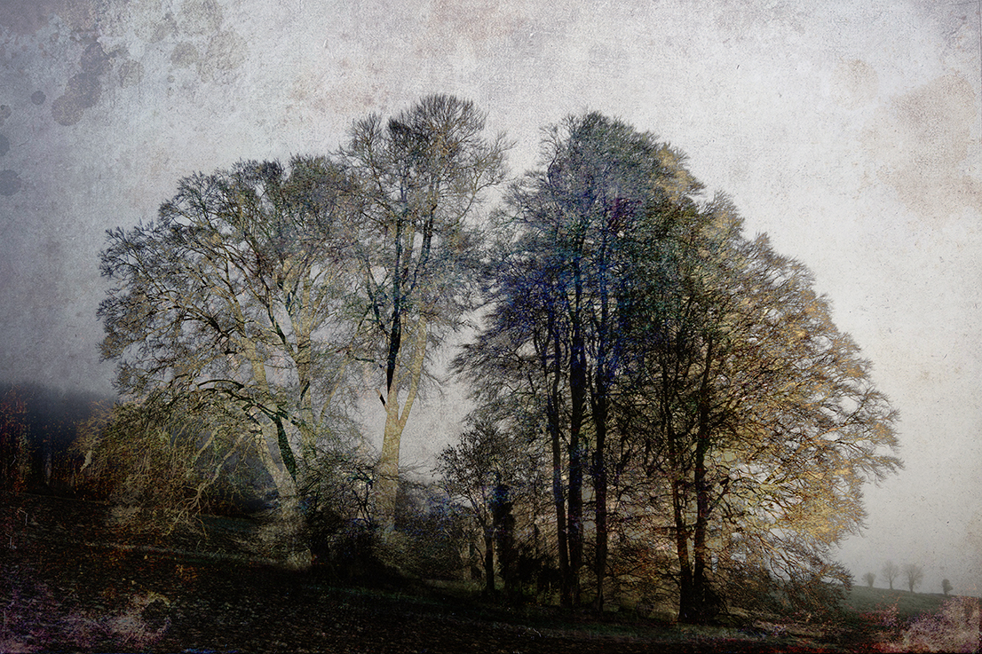 jo stephen nature photography