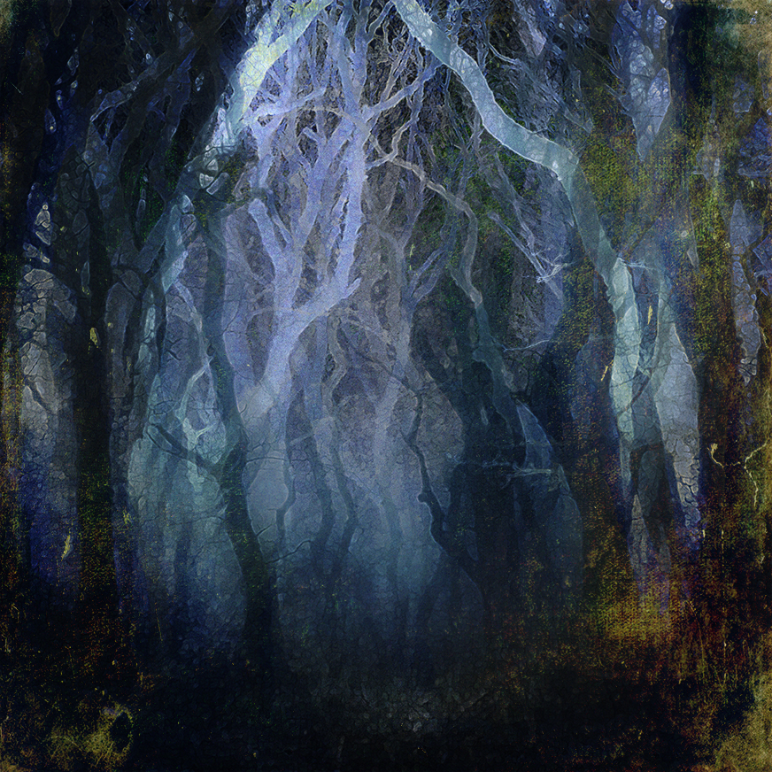 Jo stephen photography trees