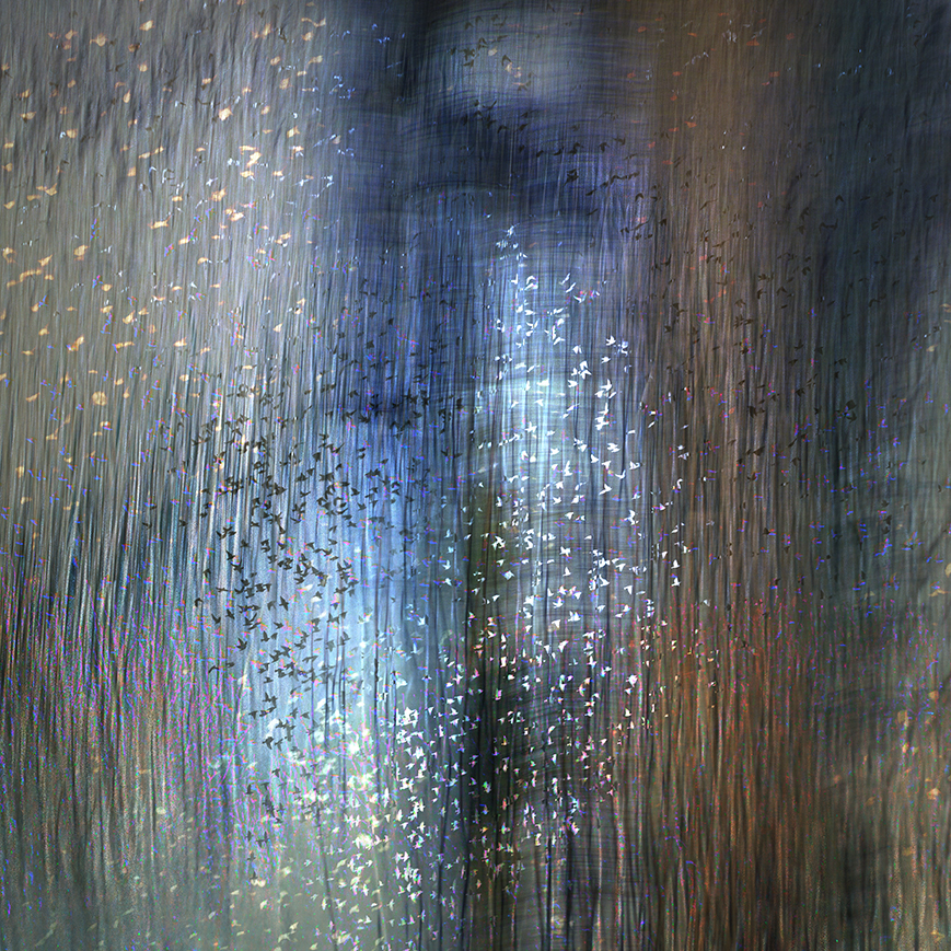 jo stephen photography starling murmuration