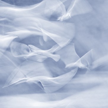 icm jo stephen photography