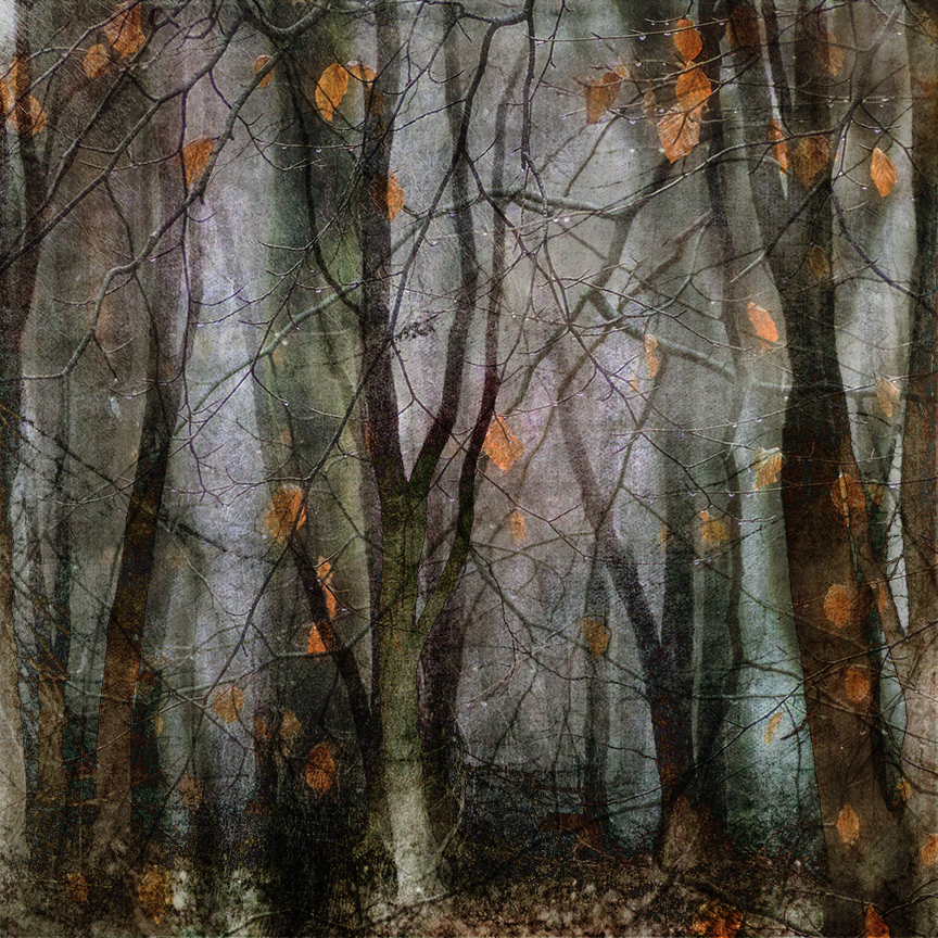 jo stephen photography