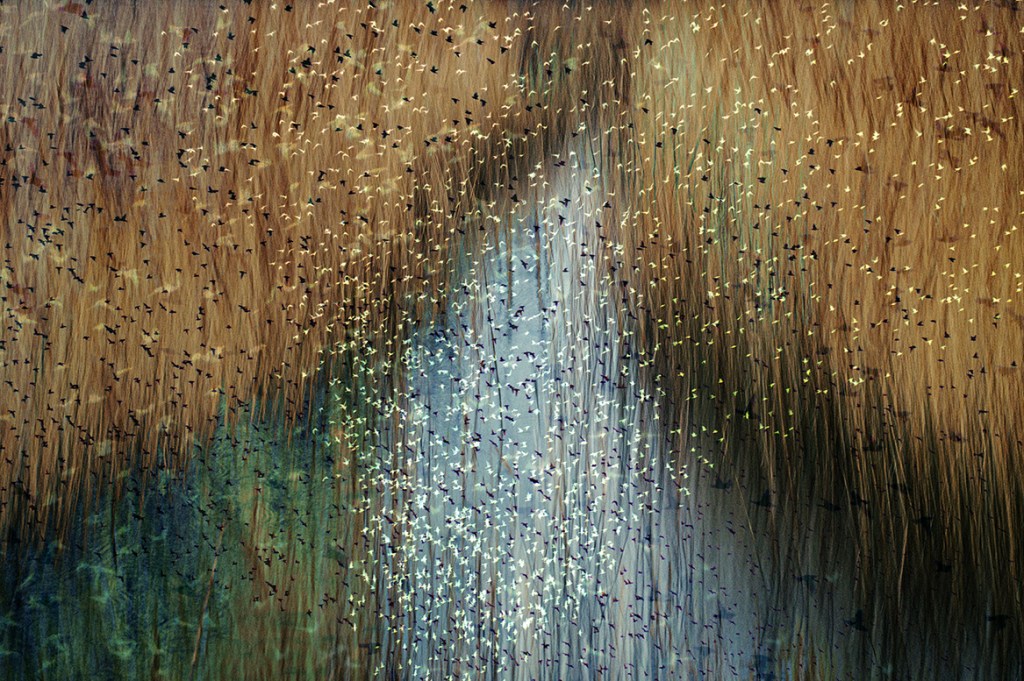 Jo Stephen Phorthography abstract landscape