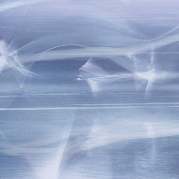 jo stephen photography