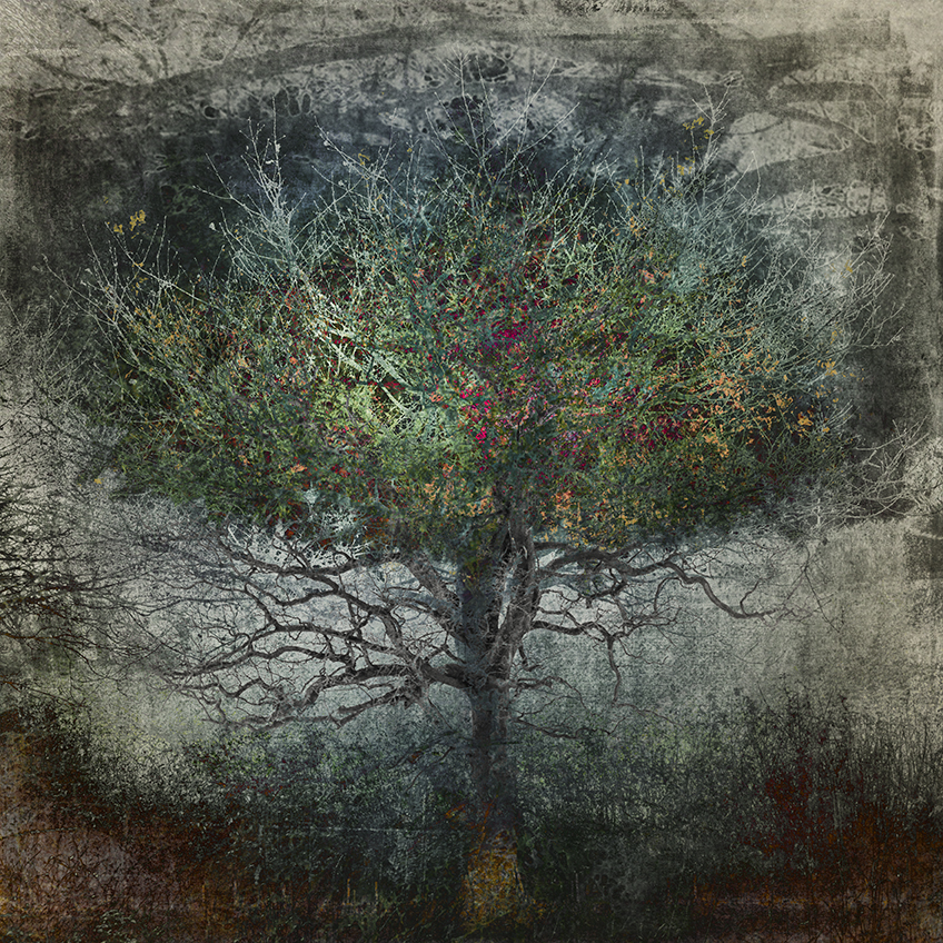 jo stephen photography