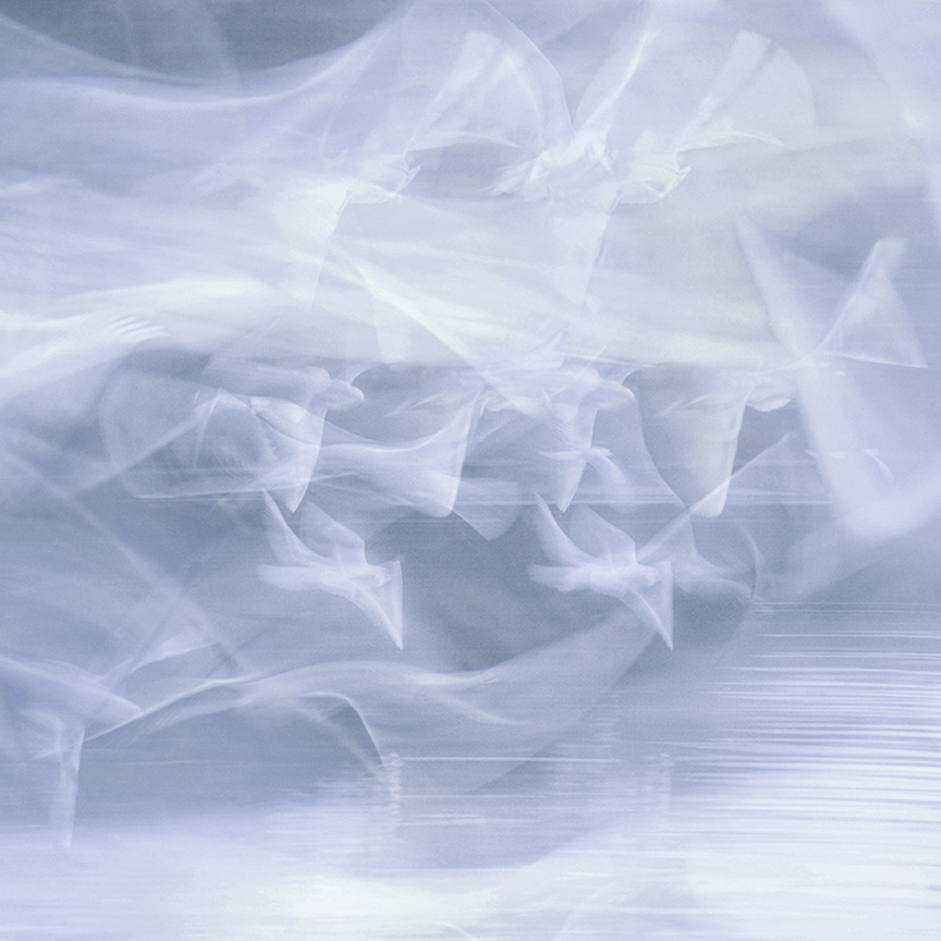 jo stephen photography