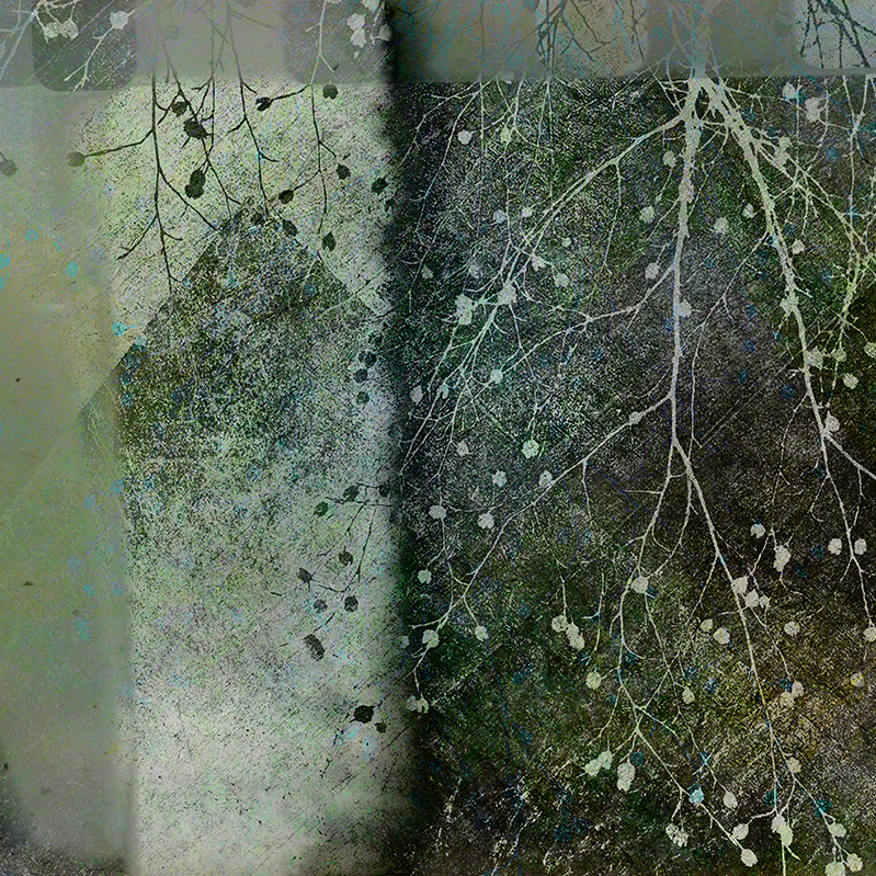 Jo Stephen photography gold trees