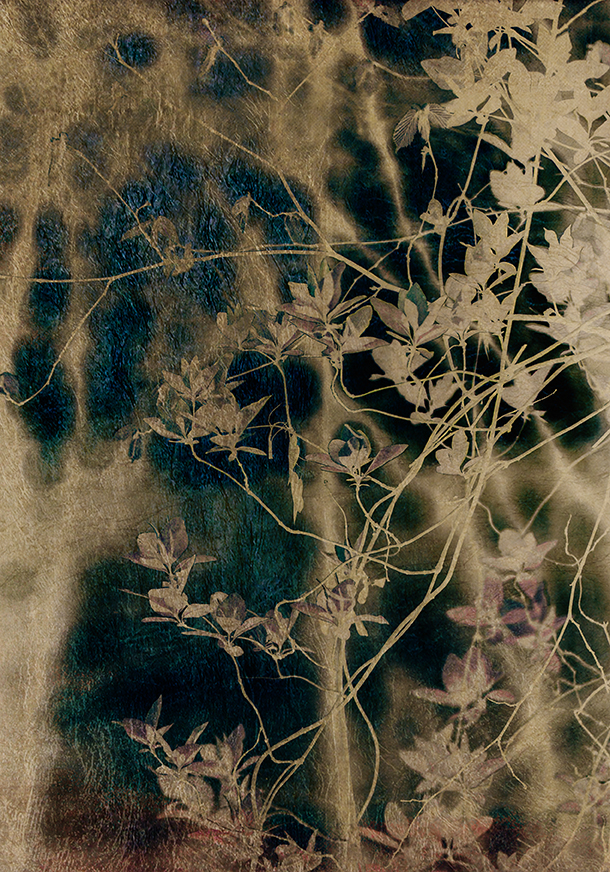 gold leaf photography