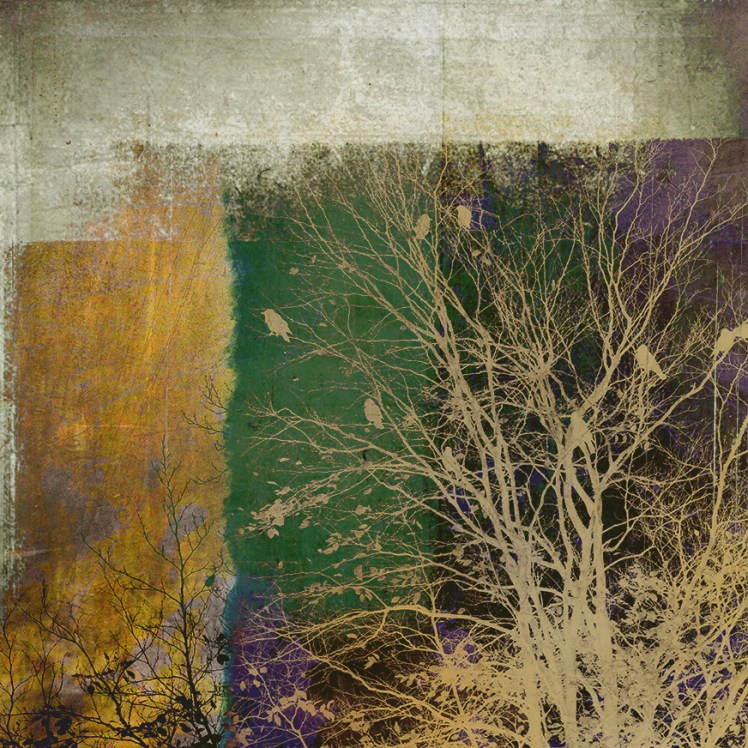 Jo Stephen photography