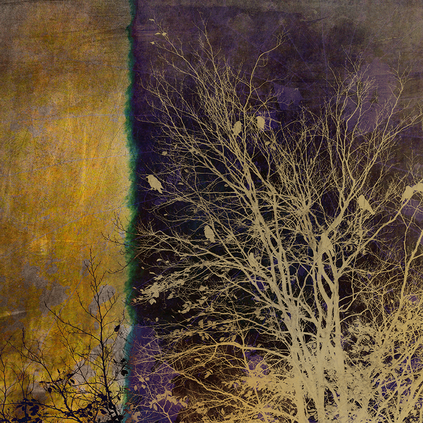 Jo Stephen photography gold trees