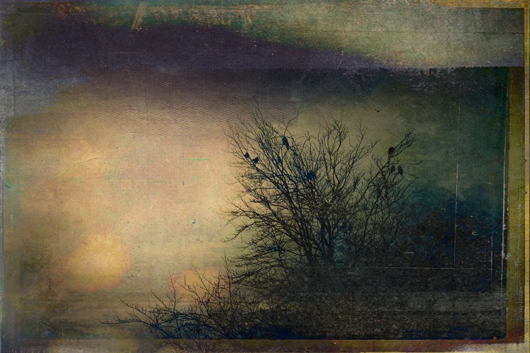 Jo Stephen photography