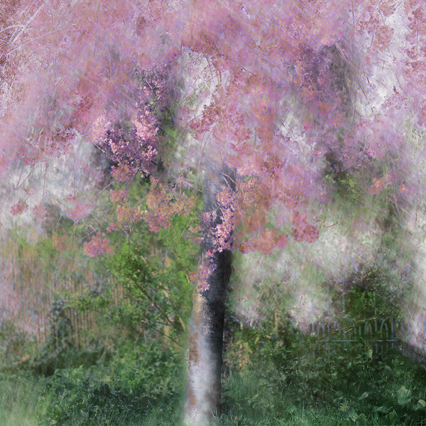 jo stephen impressionist pointillist photography