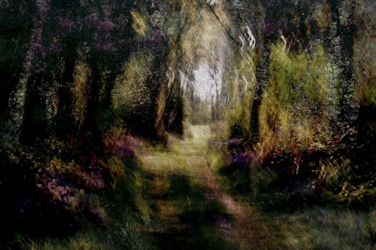 jo stephen photography