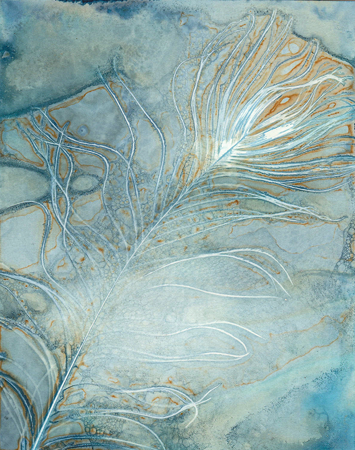 jo stephen wet cyanotype