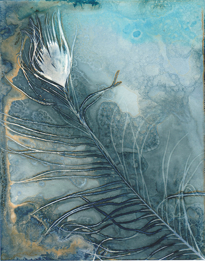 jo stephen wet cyanotype