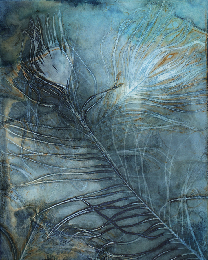 jo stephen wet cyanotype