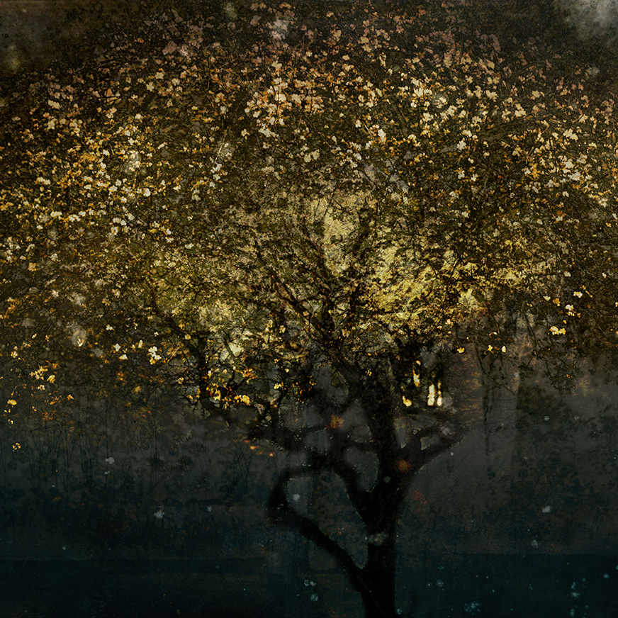 jo stephen photography