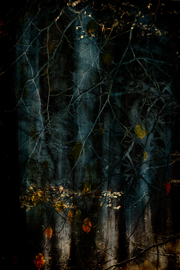 jo stephen photography