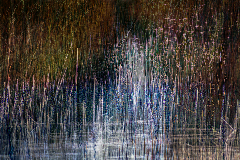 jo stephen photography