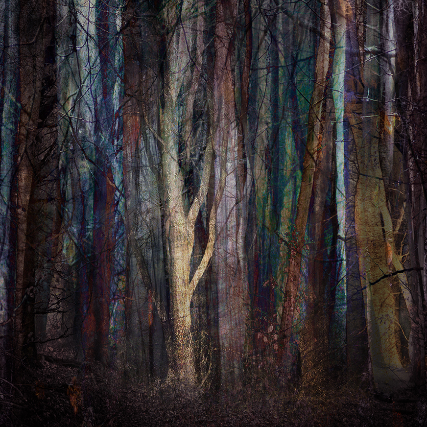 jo stephen photography