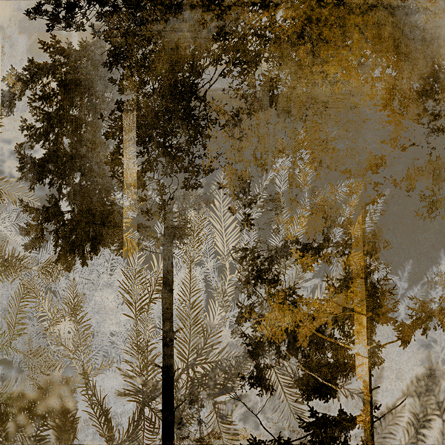 Jo Stephen photography