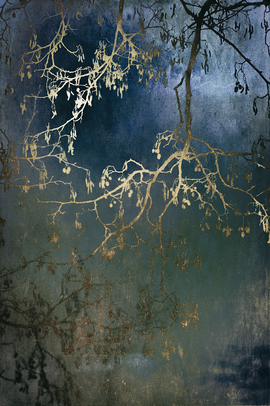 jo stephen photography