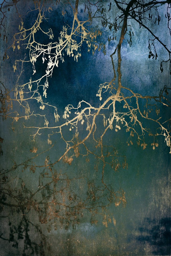 jo stephen photography