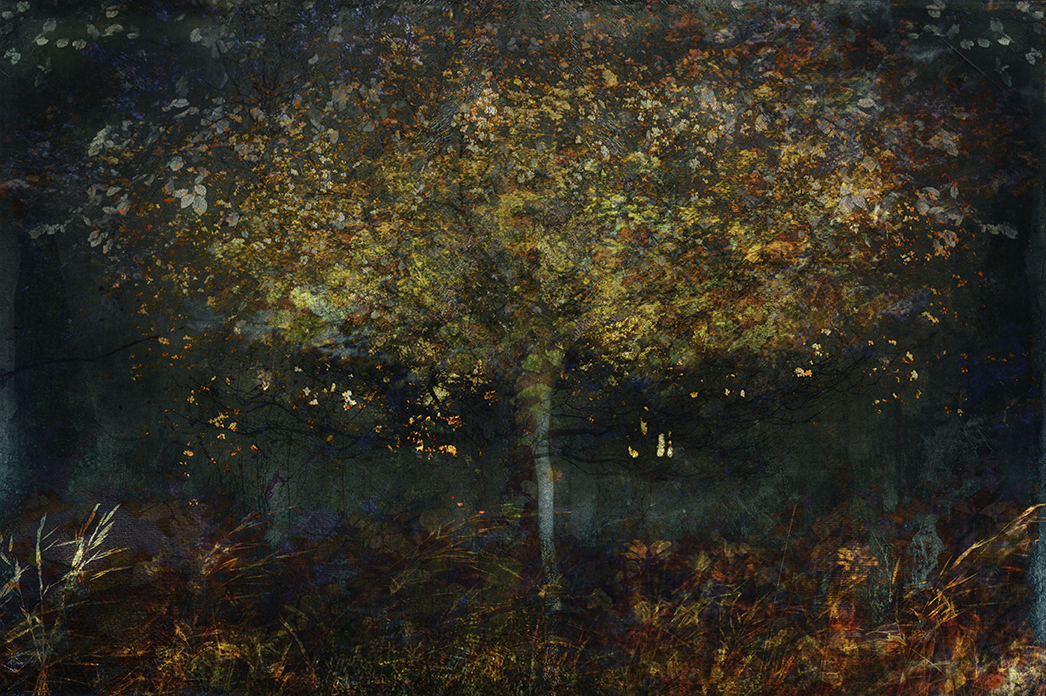 jo stephen photography