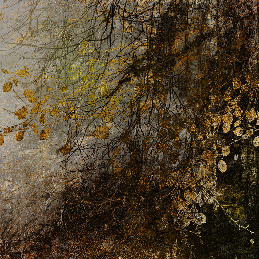 jo stephen photography