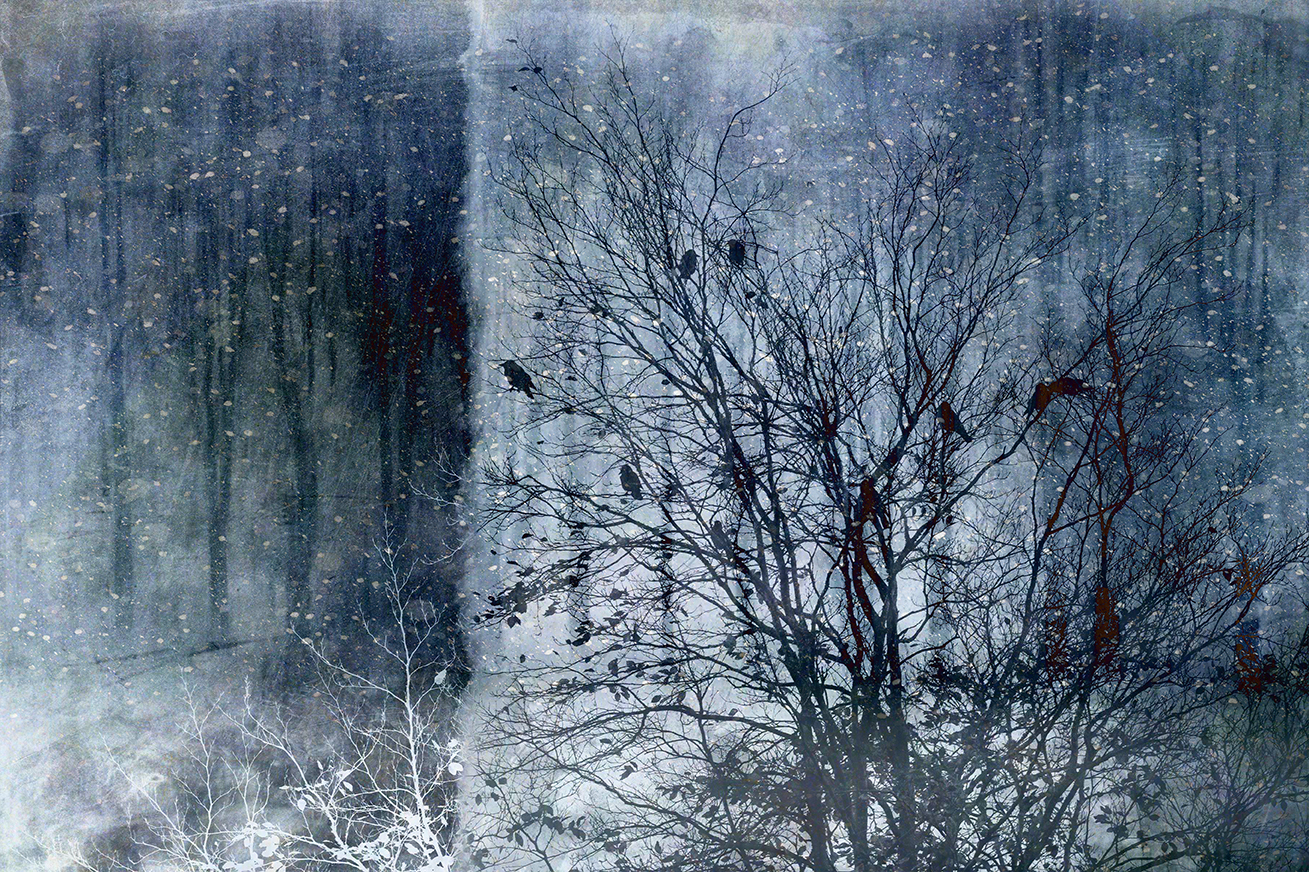 jo stephen photography