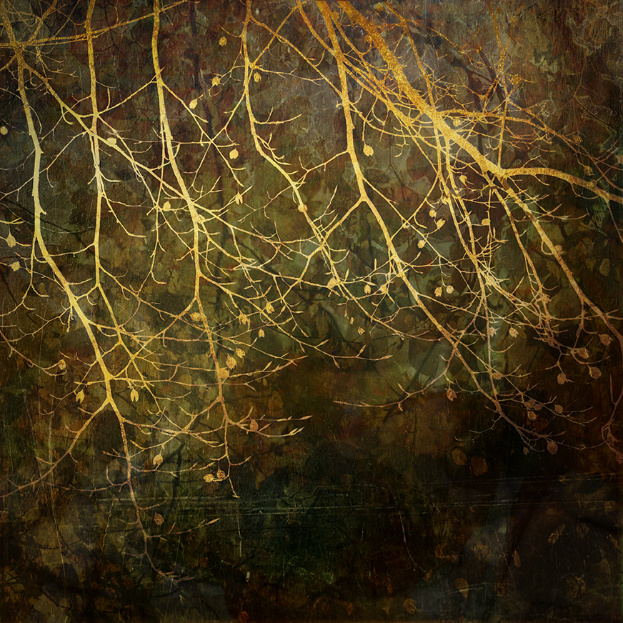 jo stephen photography