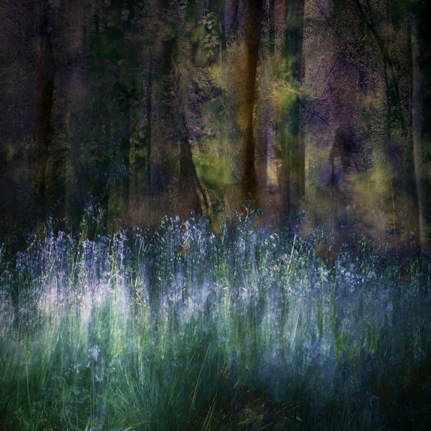 jo stephen photography icm creative nature